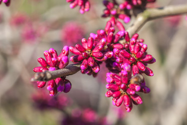 Similar image 13001557