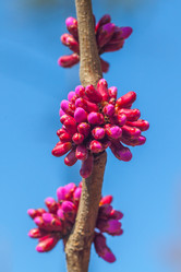 Similar image 13001580