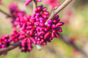 Similar image 13001582