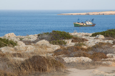 Similar image 13028102