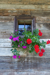 Similar image 13012946