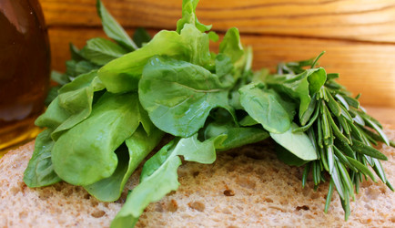 Similar image 13005521