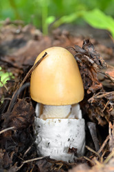 Similar image 13045125