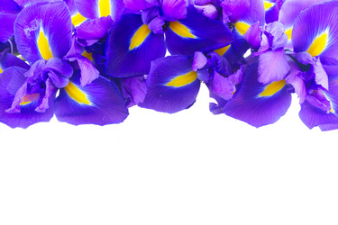 Similar image 13038702