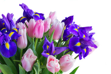 Similar image 13038744