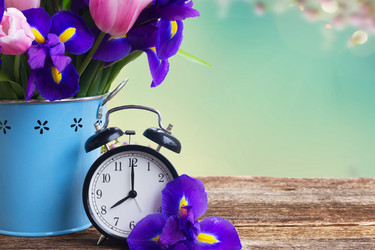 Similar image 13039030