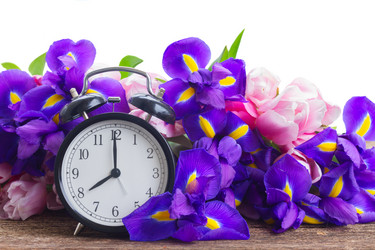 Similar image 13039062