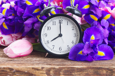 Similar image 13038366