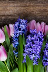 Similar image 13039166