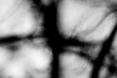 Similar image 13059921