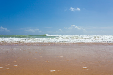 Similar image 13059964