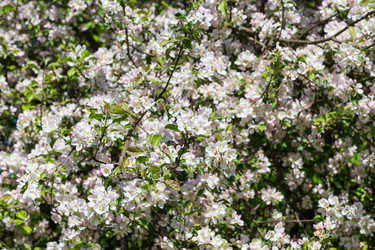 Similar image 13060020