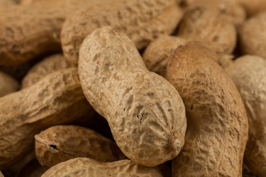 Similar image 13060022