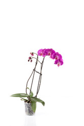 Similar image 13060023