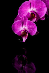 Similar image 13060060