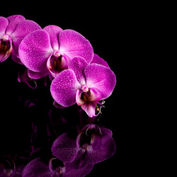 Similar image 13060062