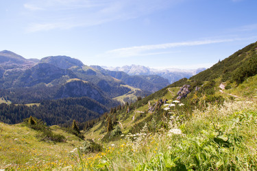 Similar image 13007810