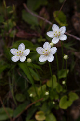 Similar image 13007814