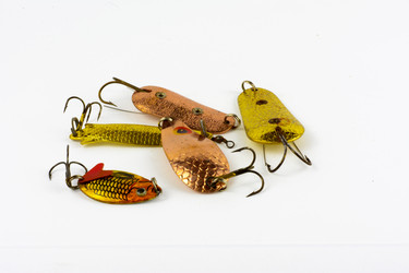 Similar image 13005539