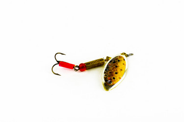 Similar image 13005540