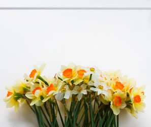 Similar image 13039291