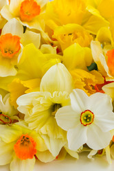 Similar image 13039310