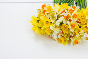 Similar image 13040132