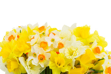 Similar image 13040186