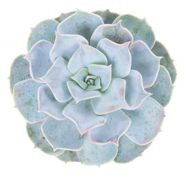 Similar image 13046044