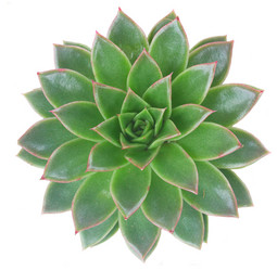 Similar image 13046064