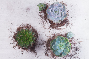 Similar image 13046123