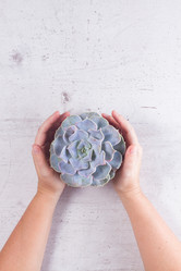 Similar image 13046185