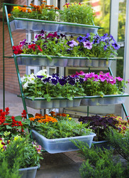 Similar image 13005166