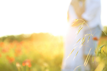 Similar image 13005181