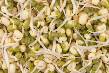 Similar image 13003378