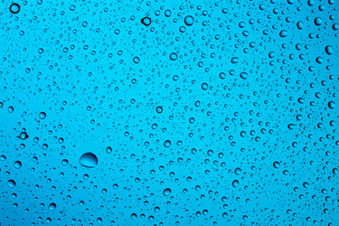 Similar image 13010731