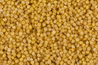 Similar image 13010770