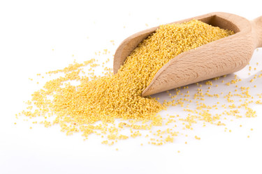 Similar image 13010788