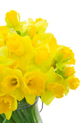 Similar image 13023439