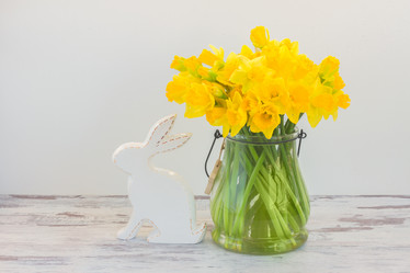 Similar image 13023460