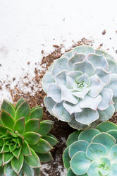 Similar image 13023479