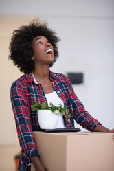 Similar image 13019037