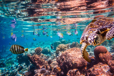 Similar image 13023135