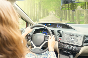 Similar image 13039059