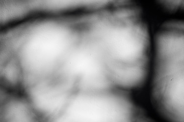 Similar image 13060162