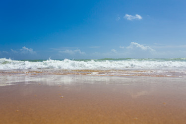 Similar image 13060165