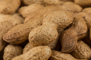 Similar image 13060182