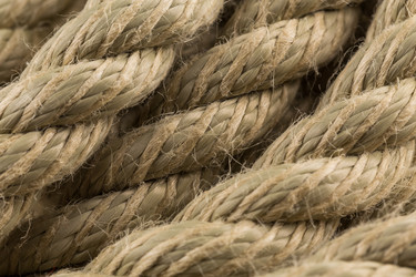 Similar image 13003320