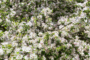 Similar image 13003363