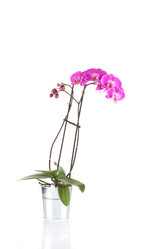 Similar image 13010797